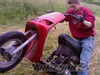 Photo 1320642