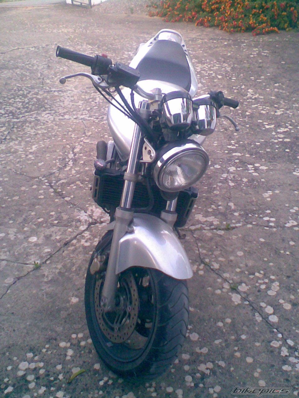 Photo 1320696