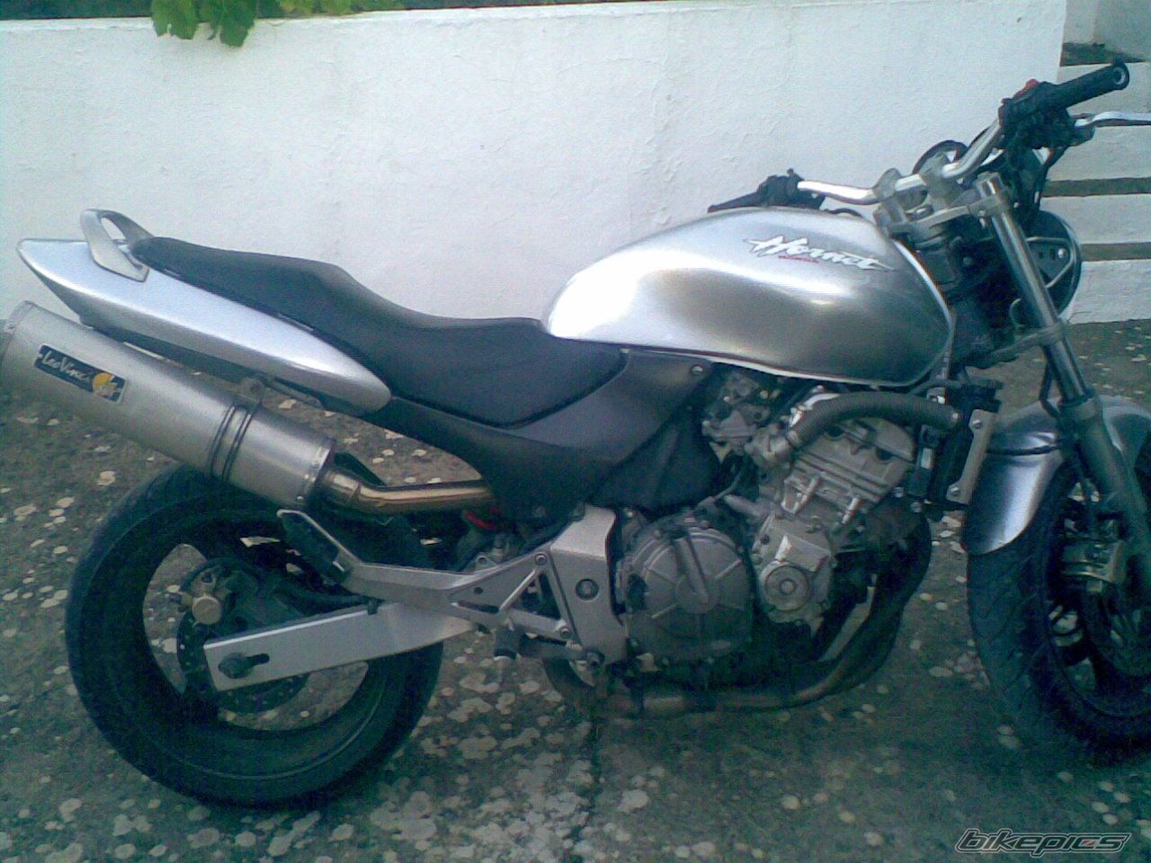 Photo 1320697