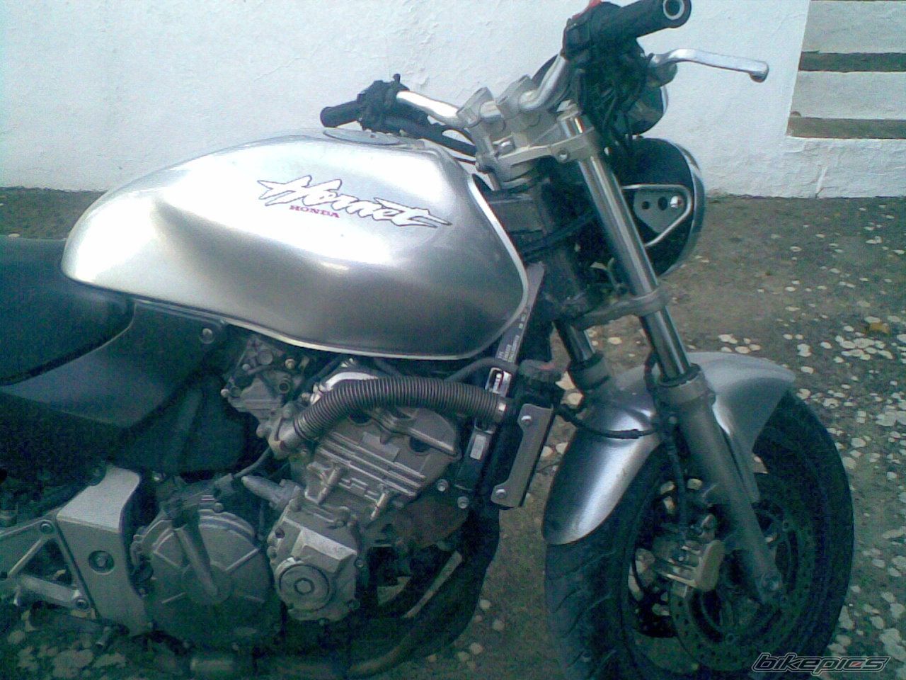 Photo 1320699