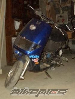 Photo 1320747
