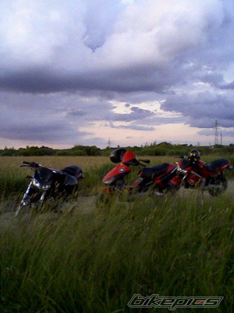 Photo 1320934