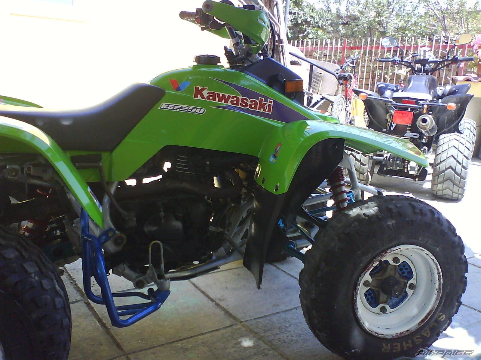 Photo 1321202