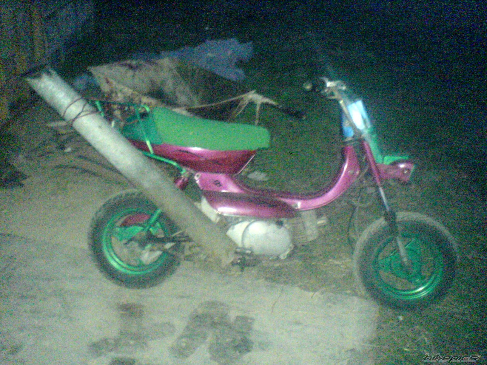 Photo 1321232
