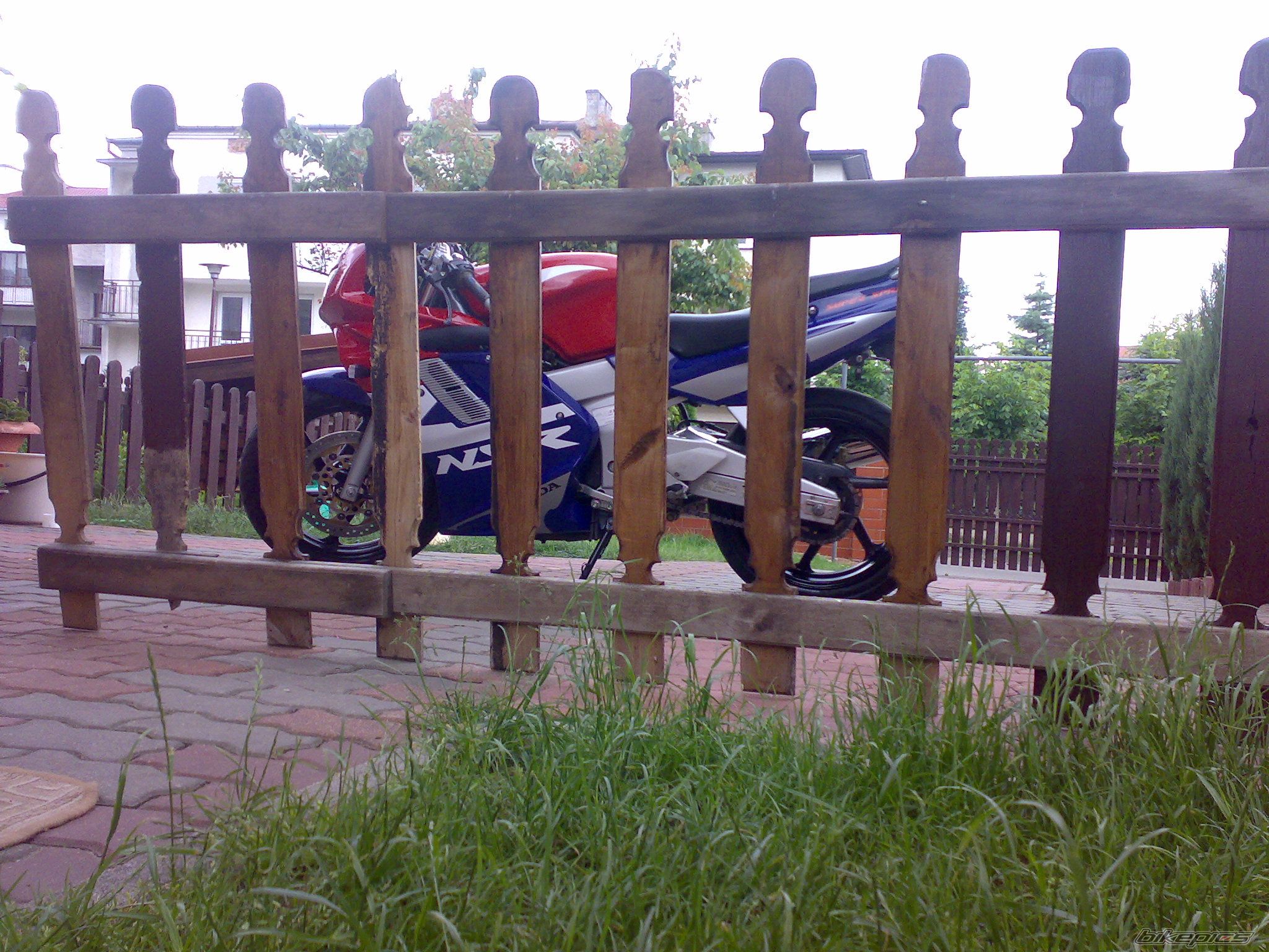 Photo 1321238