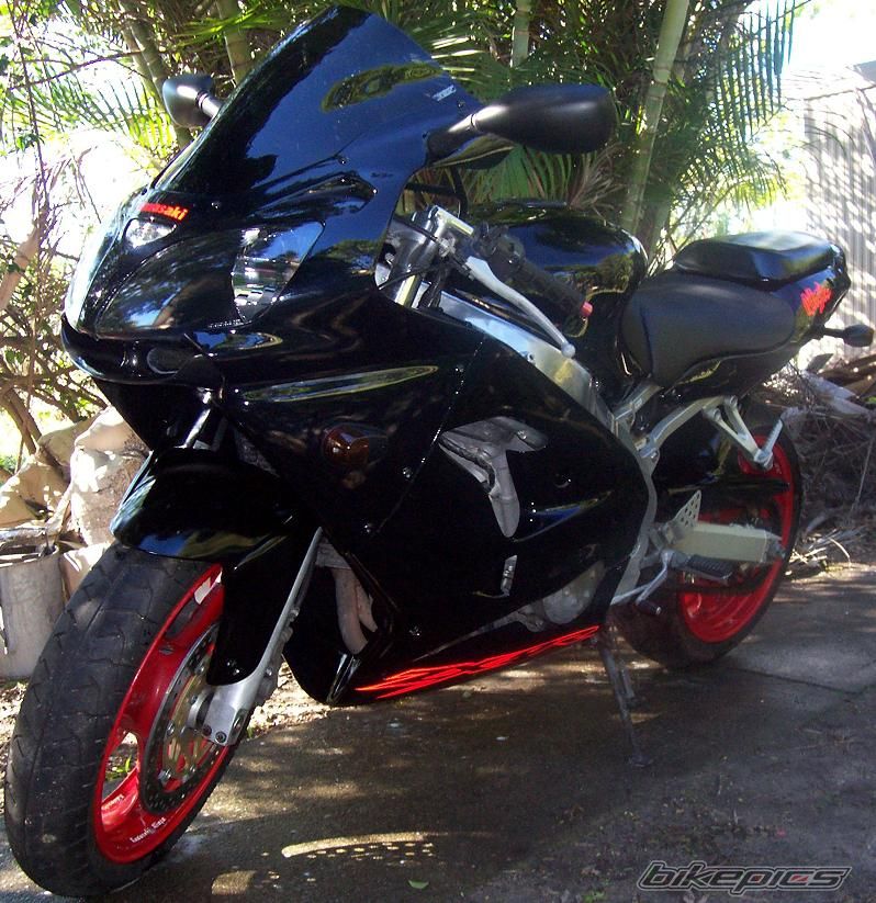 Photo 1321246