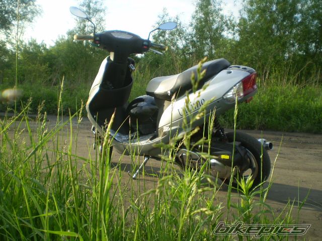 Photo 1321258
