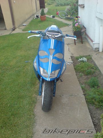 Photo 1321266