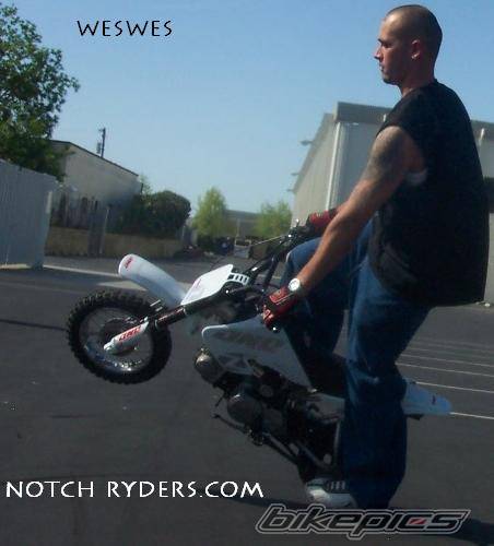 Photo 132128