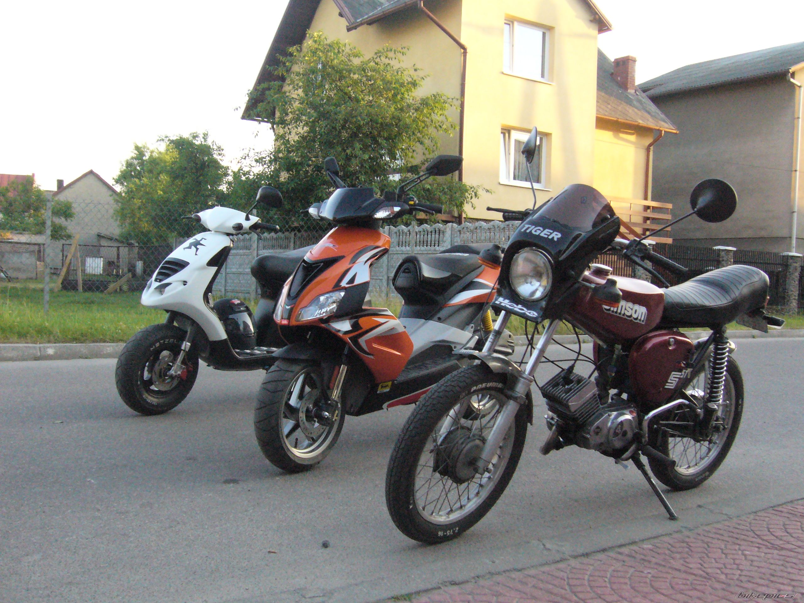 Photo 1321365