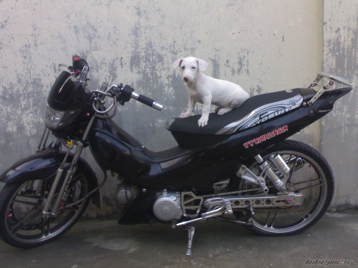 Bike Photo 1321369
