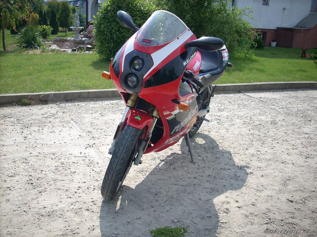 Photo 1321425