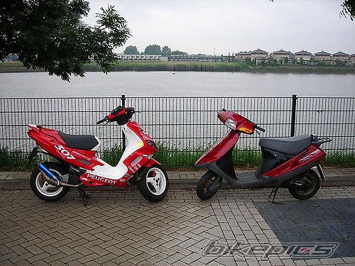 Photo 1321470
