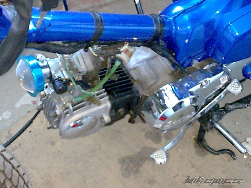 Photo 1321506