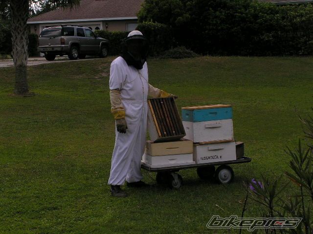 Photo 1321525