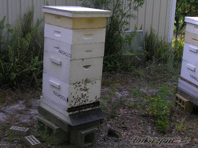 Photo 1321530