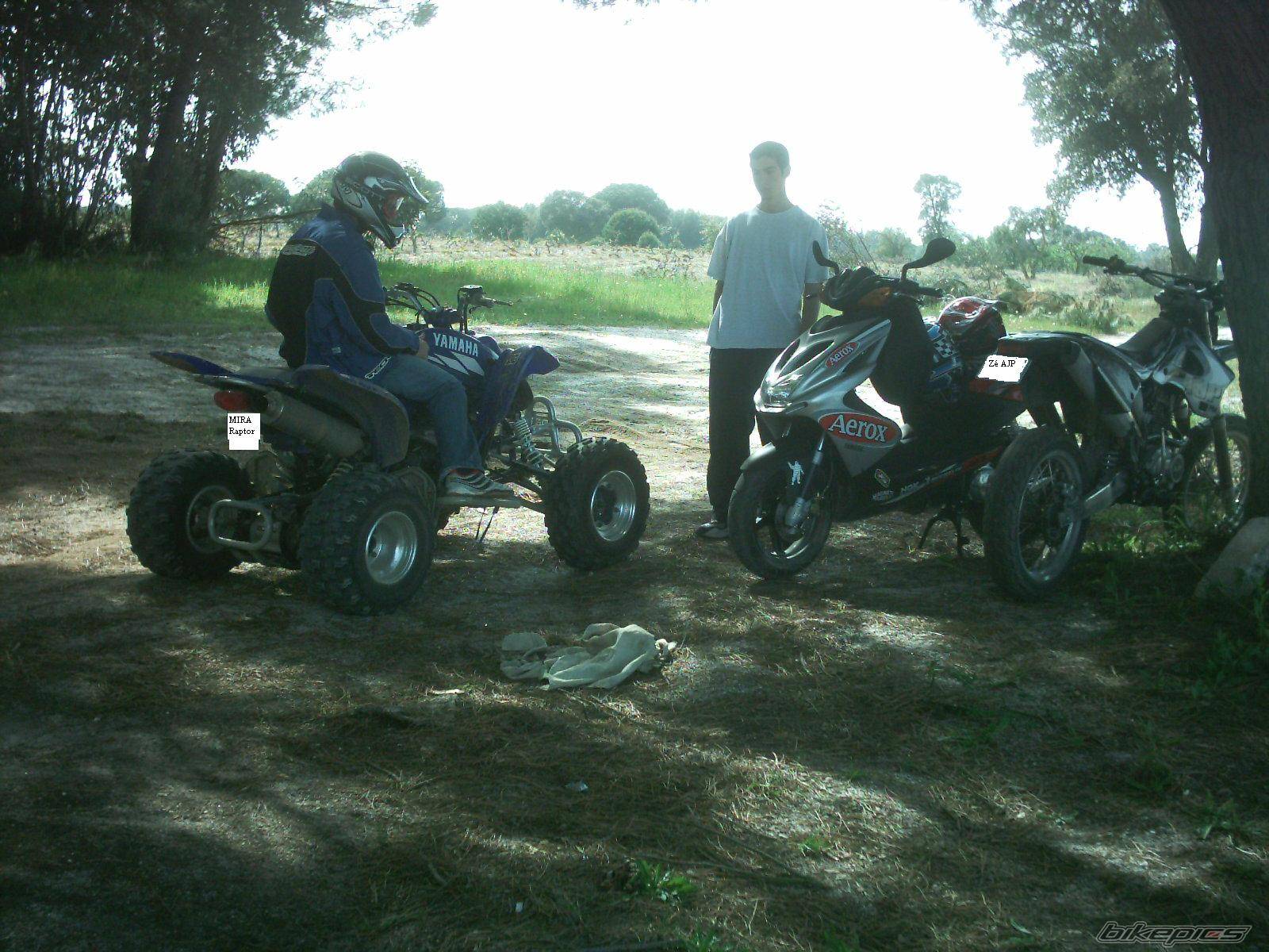Photo 132169