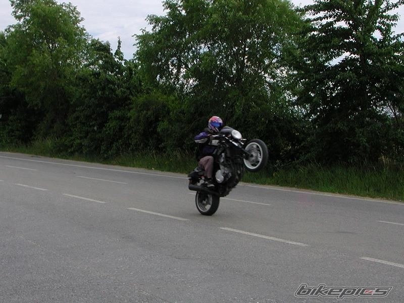 Photo 1321712