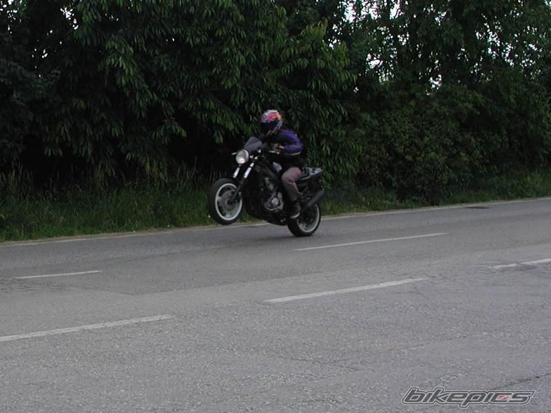 Photo 1321713