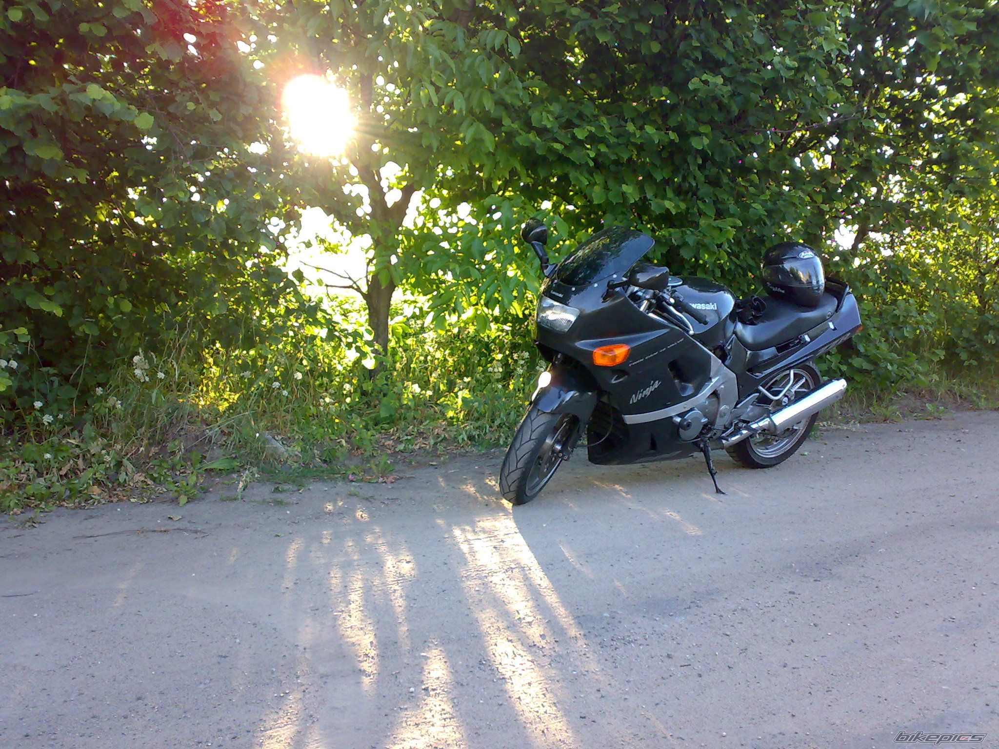 Photo 1321730