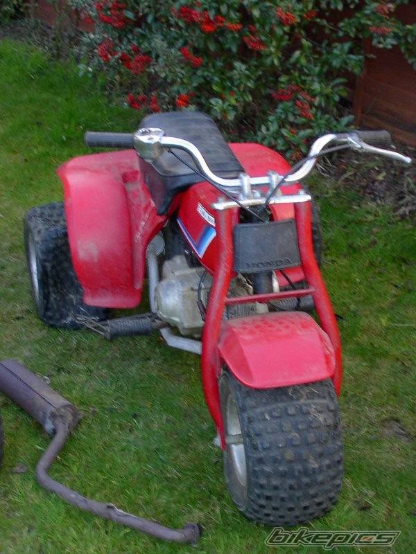 Photo 132175