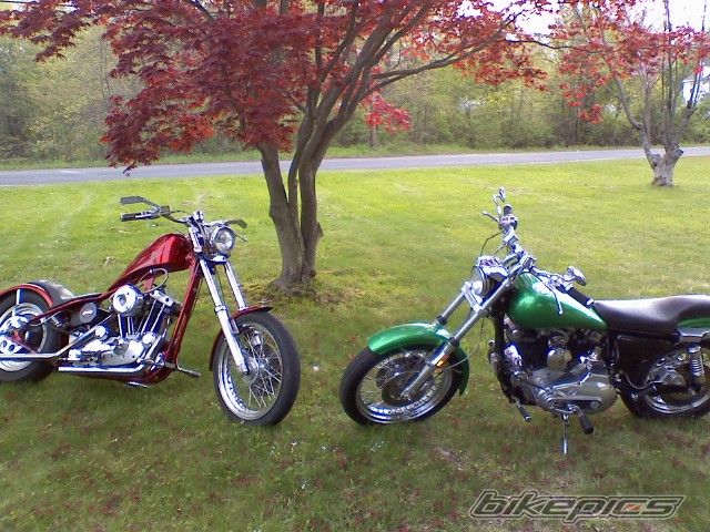 Bike Photo 1321945