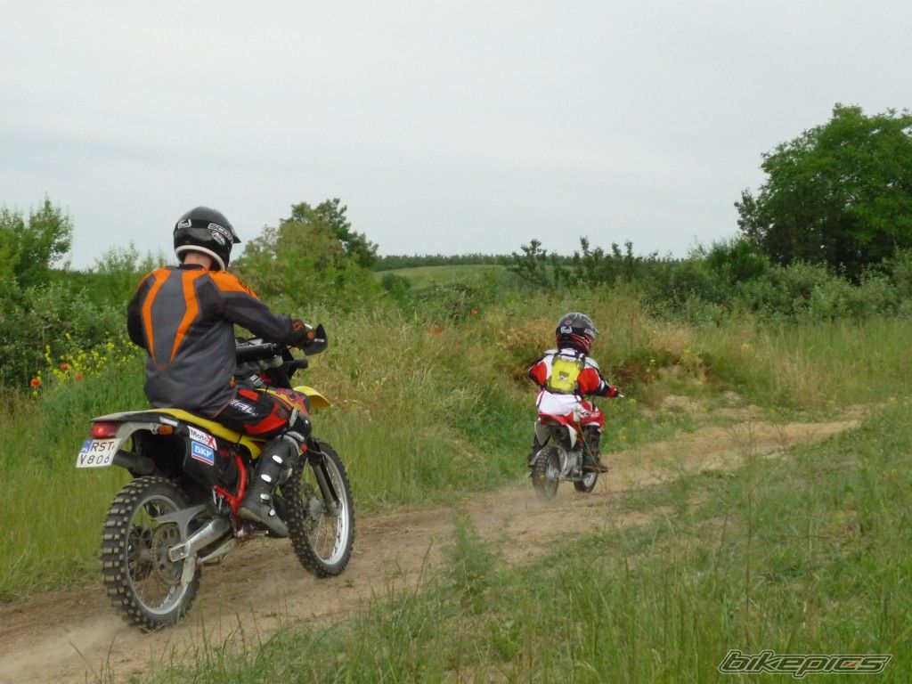 Photo 1322068
