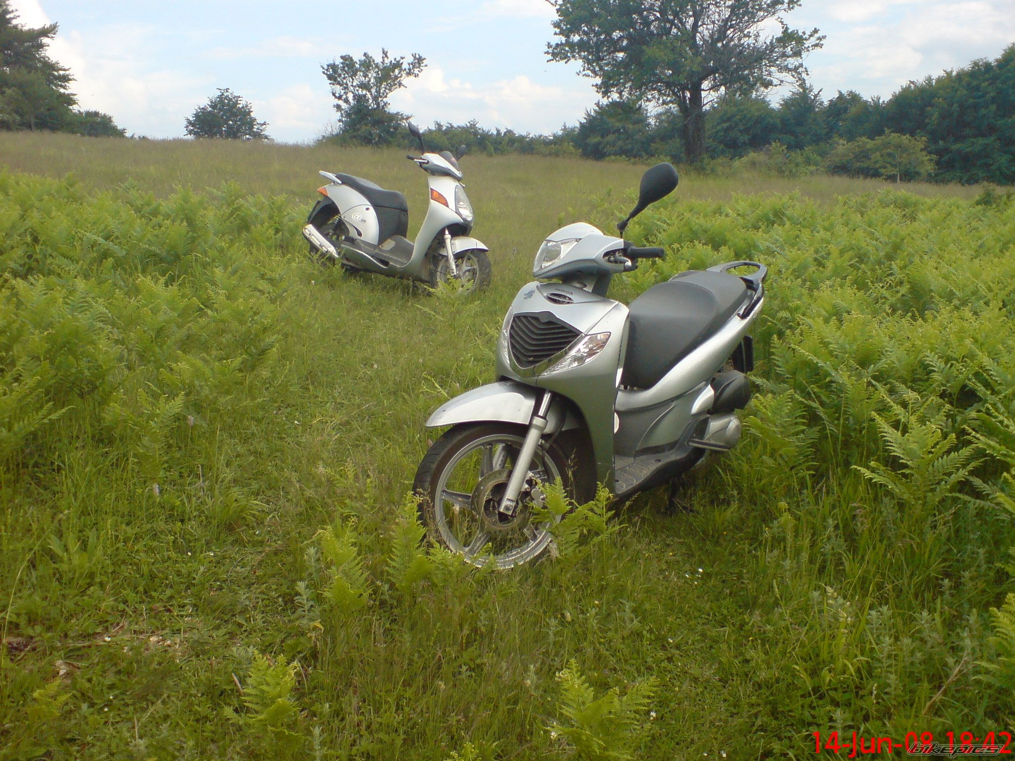 Photo 1322087