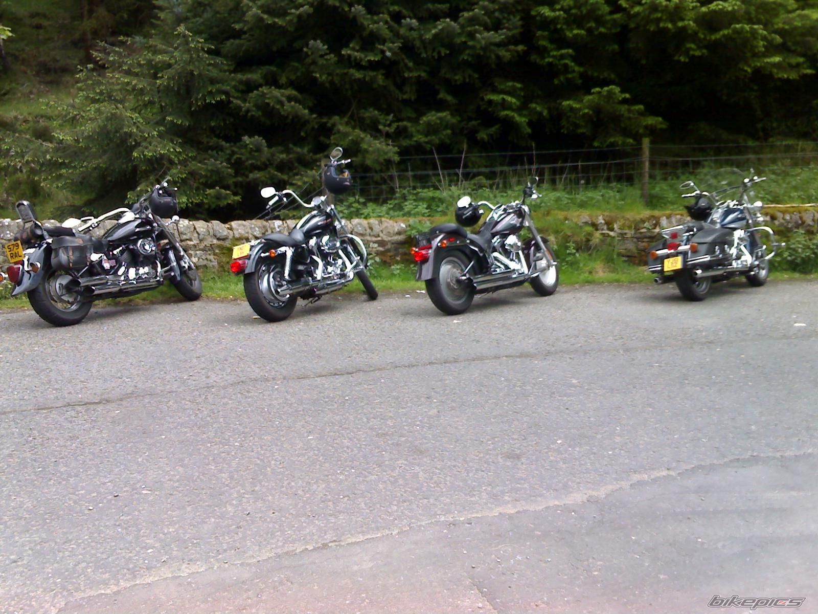 Photo 1322273
