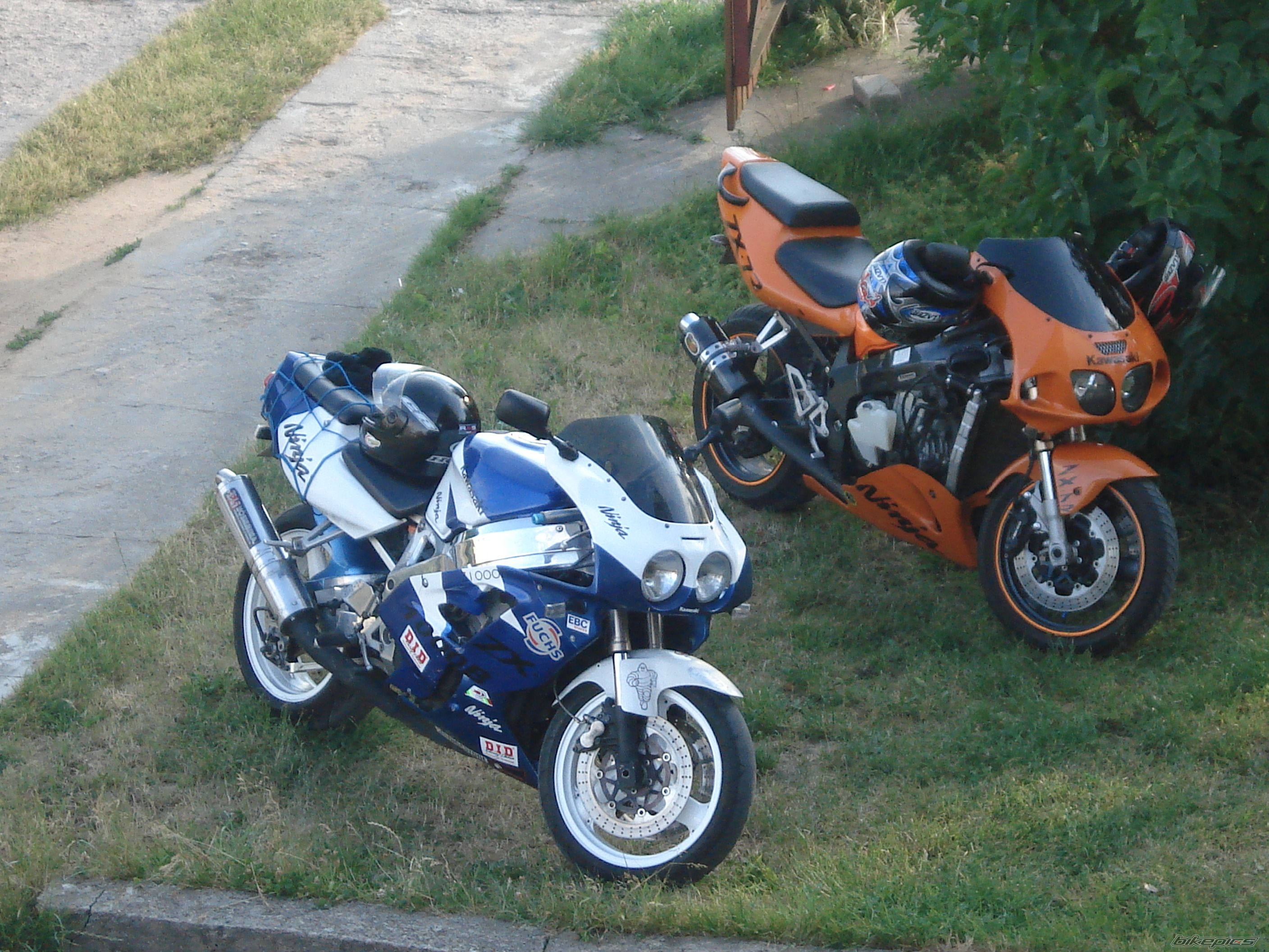 Photo 1322383