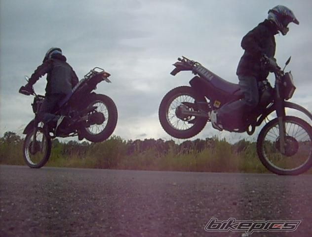 Photo 1322393