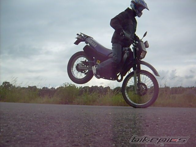 Photo 1322402