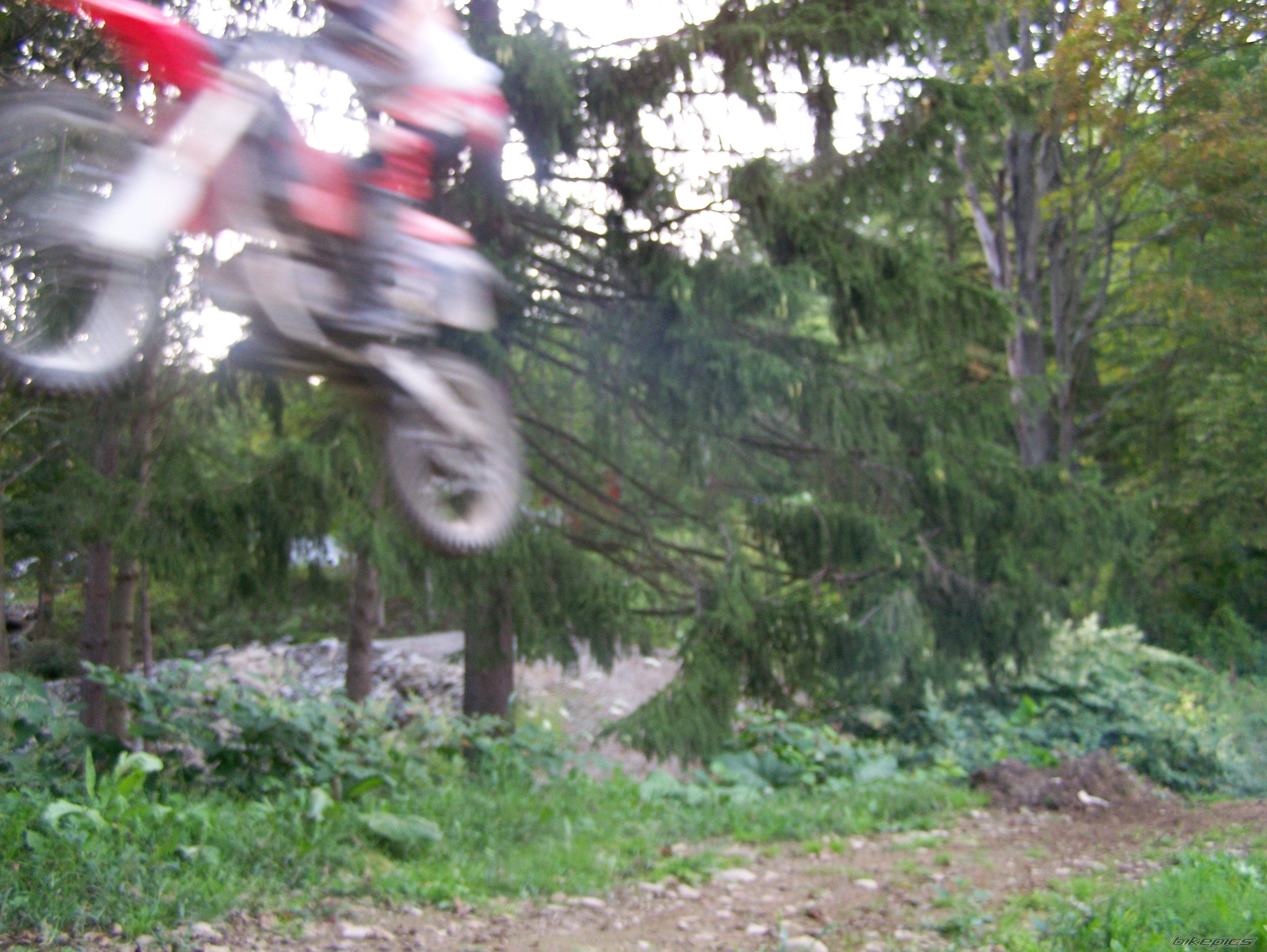 Photo 1322473