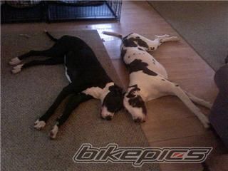 Photo 1322572