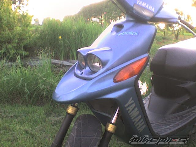 Photo 1322605