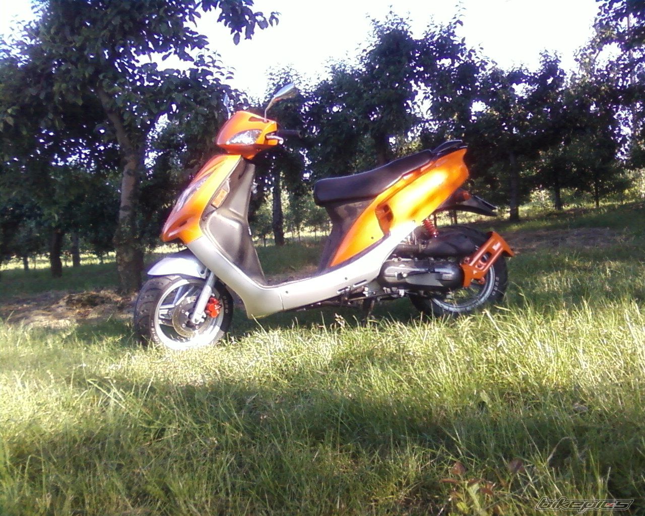 Bike Photo 1322771
