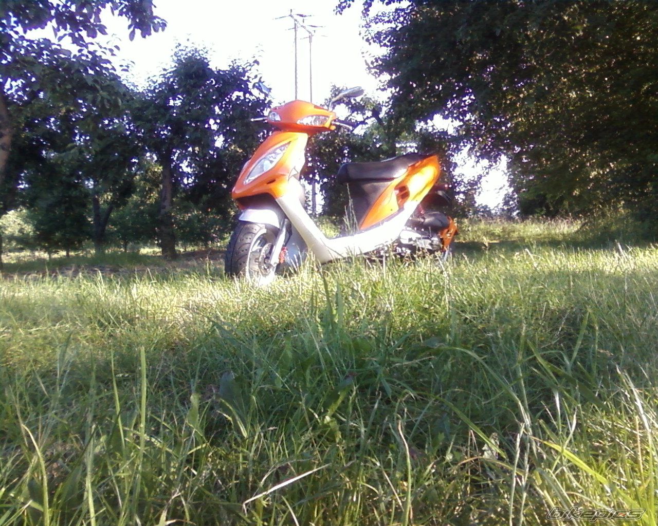Bike Photo 1322790