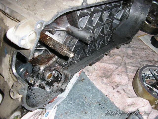 Photo 1322804