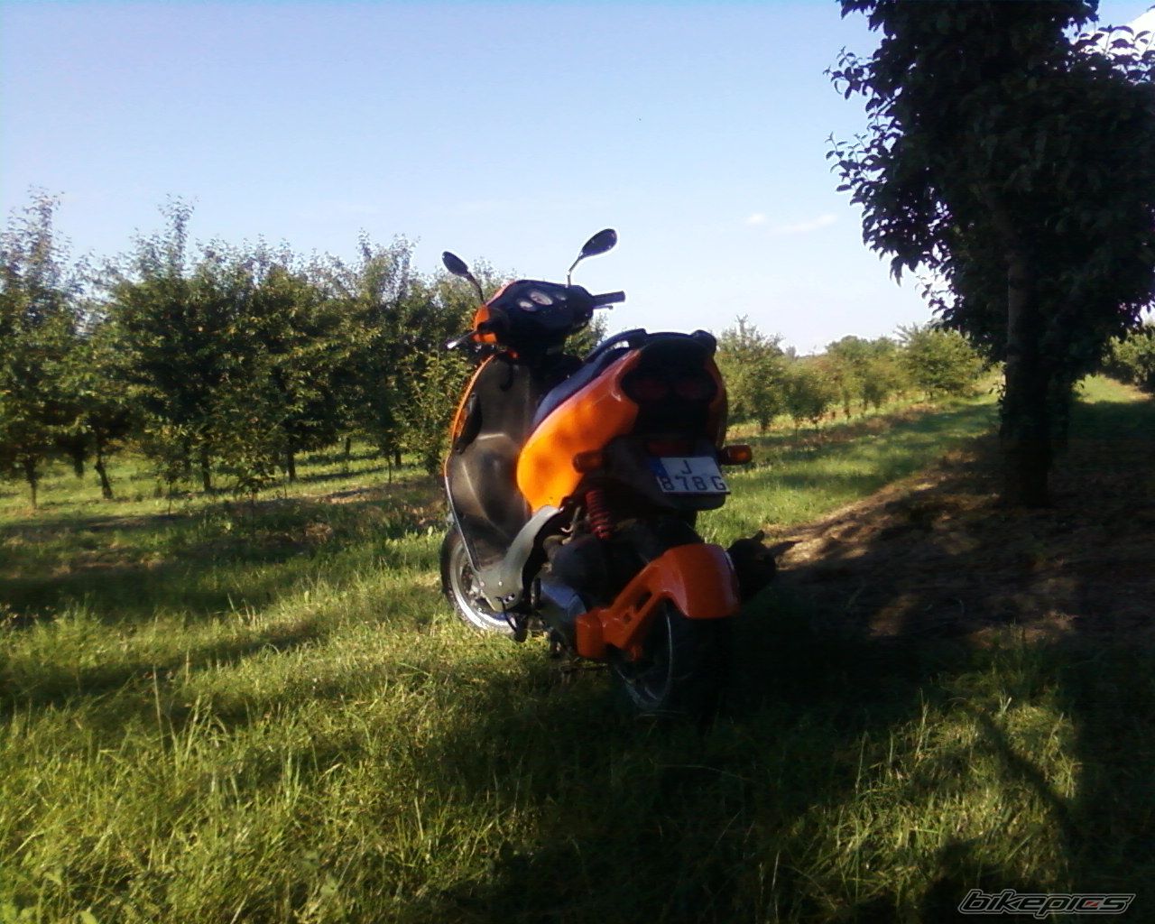 Bike Photo 1322806