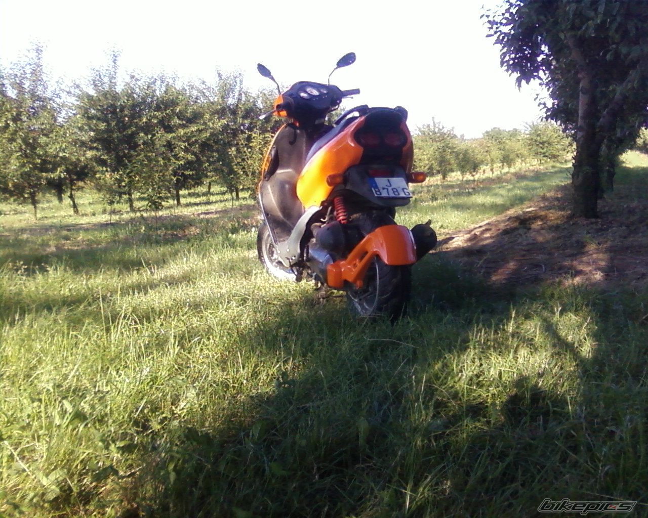 Bike Photo 1322809