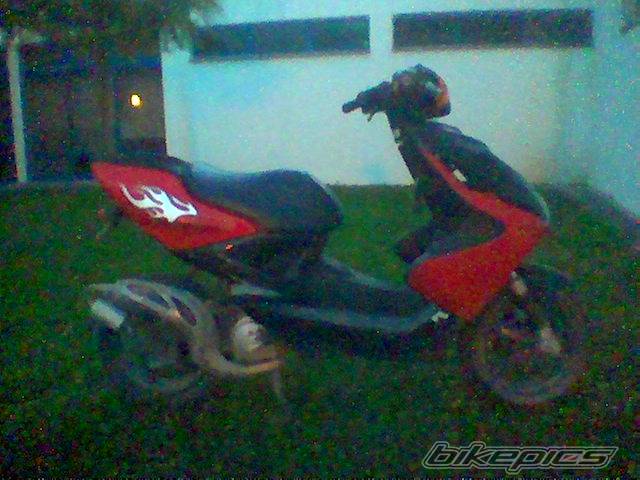 Photo 132284
