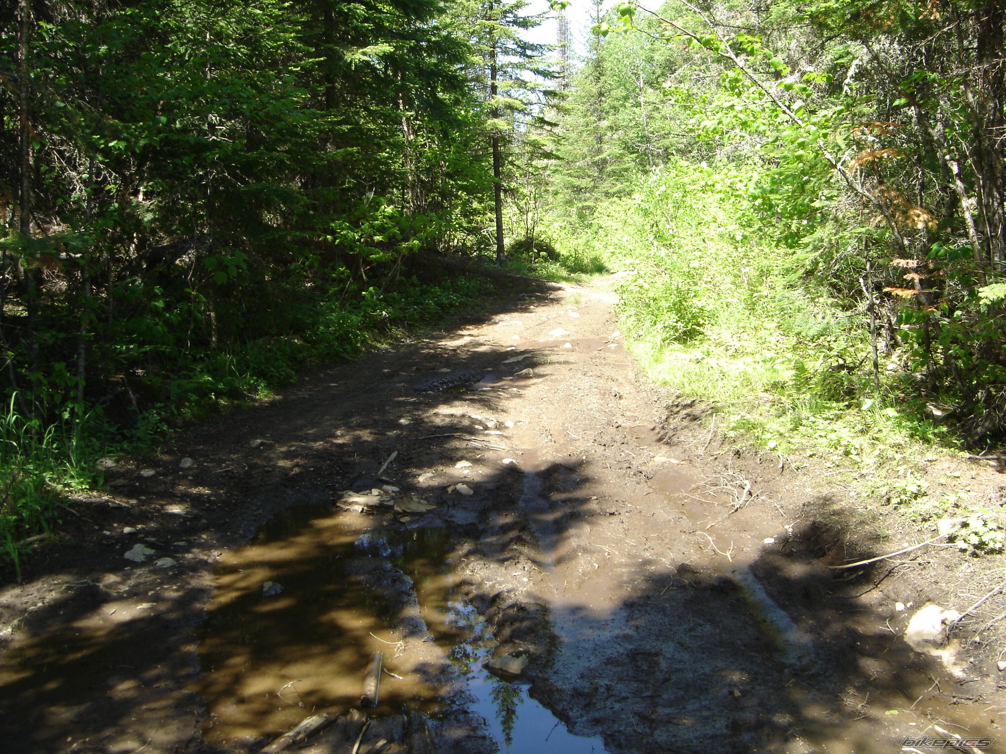 Photo 1323162
