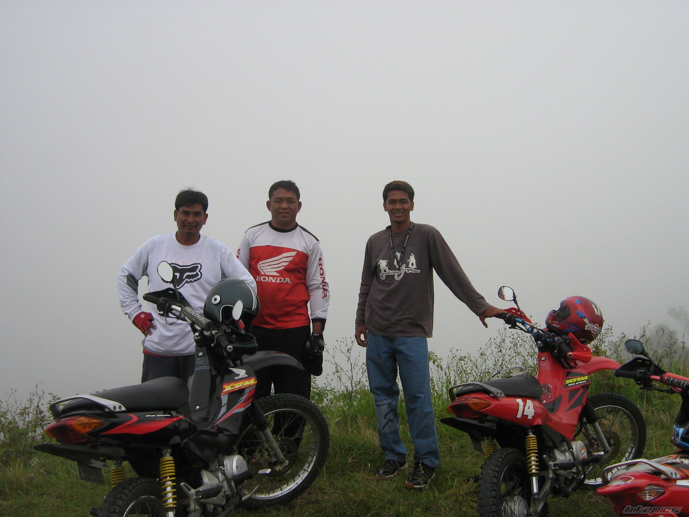 Photo 1323528