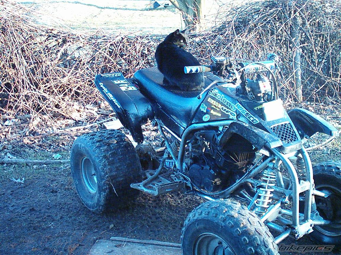 Bike Photo 132357