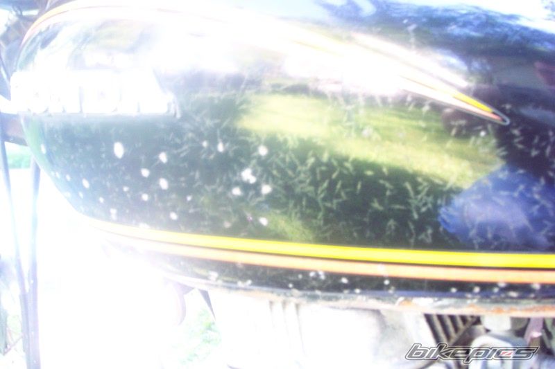 Photo 1323602