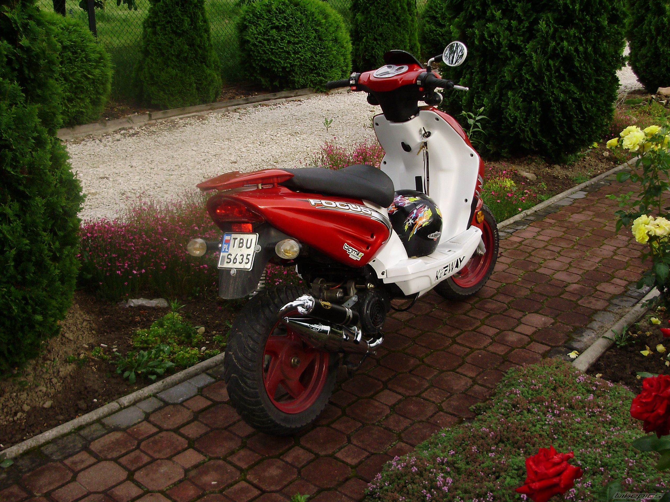 Photo 1323727
