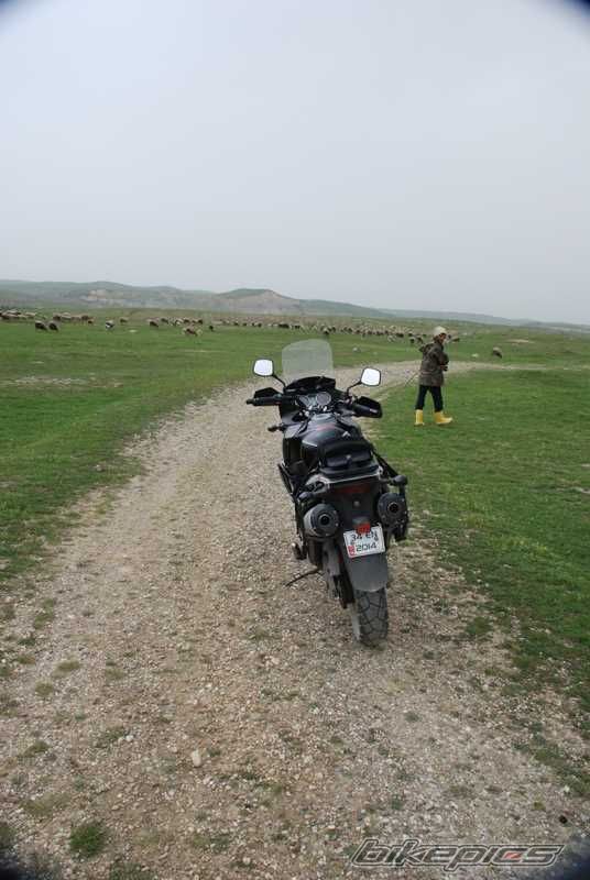 Photo 1323734
