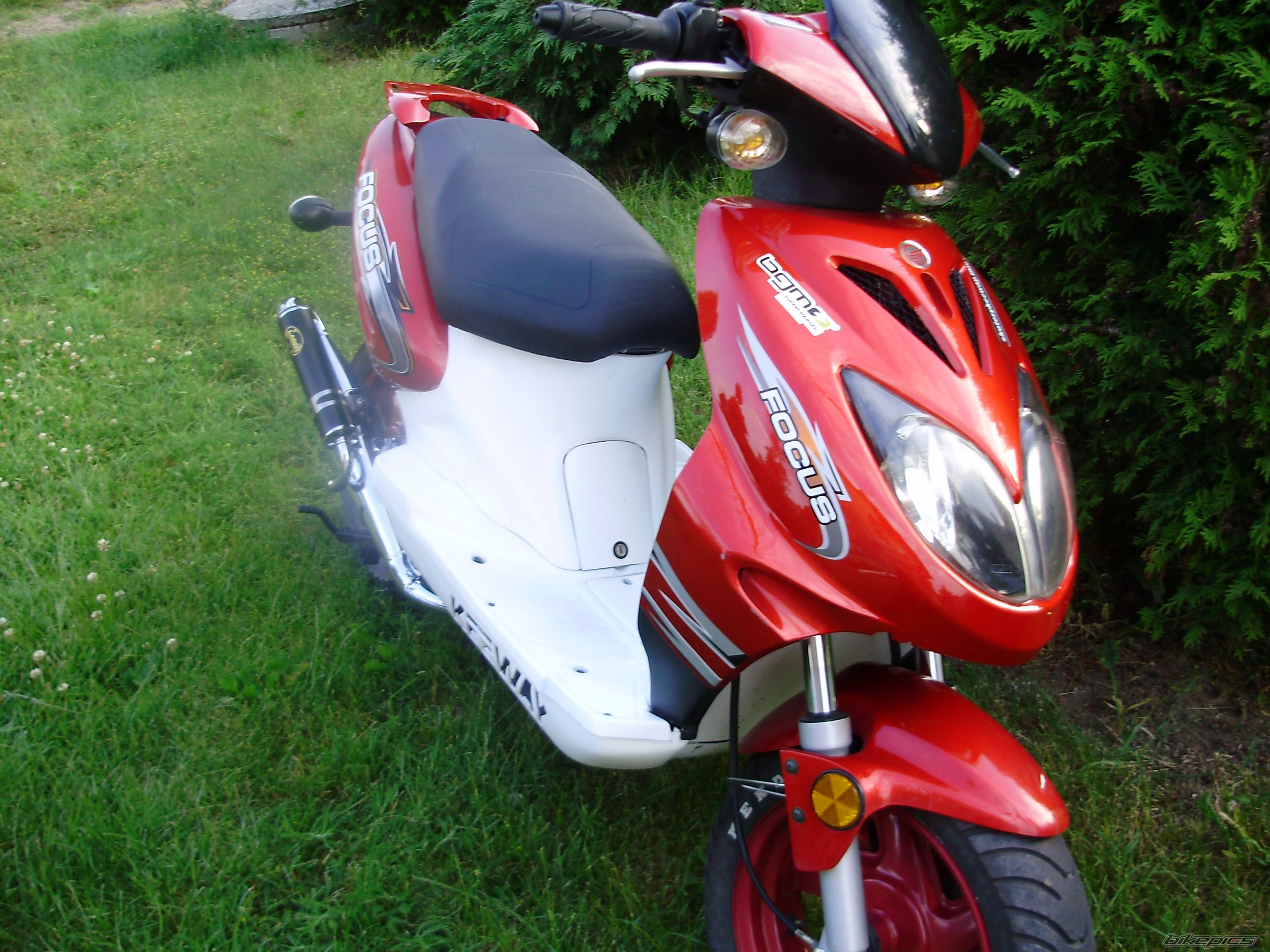 Photo 1323748