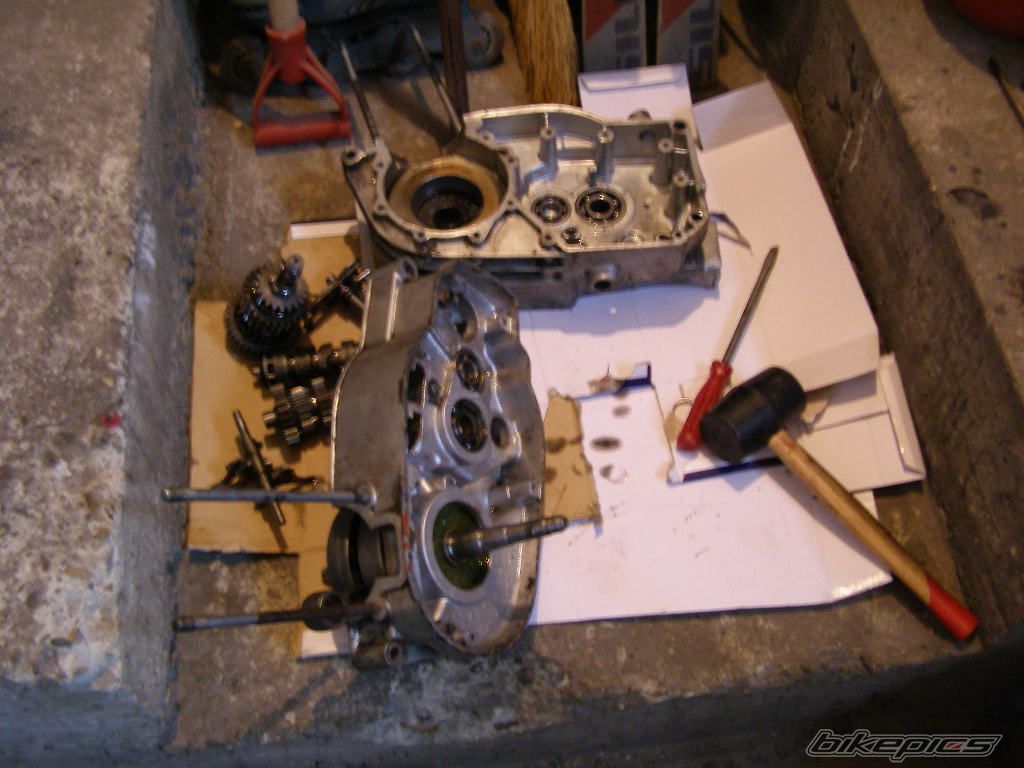 Photo 1323753