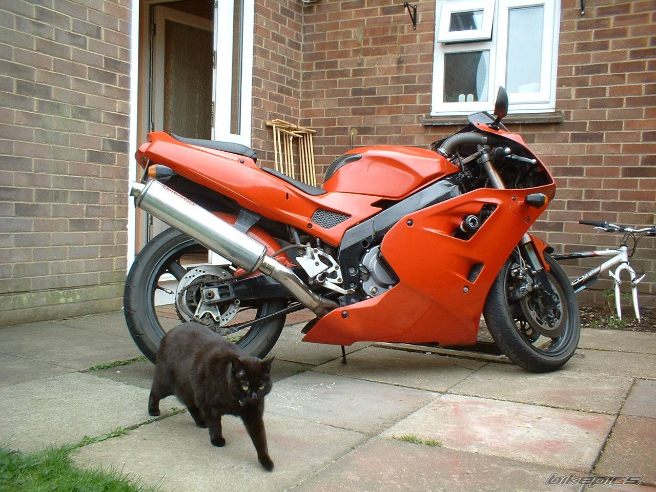 Photo 132379